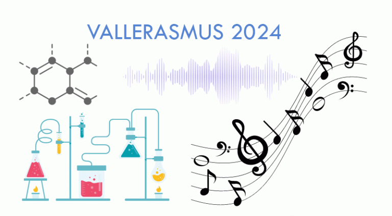 Vallerasmus IES Santa Eugenia
