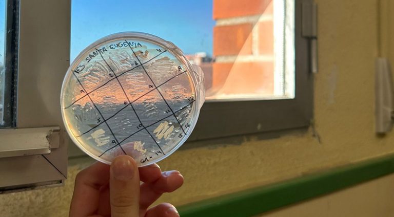 Proyecto Micromundo en el IES Santa Eugenia