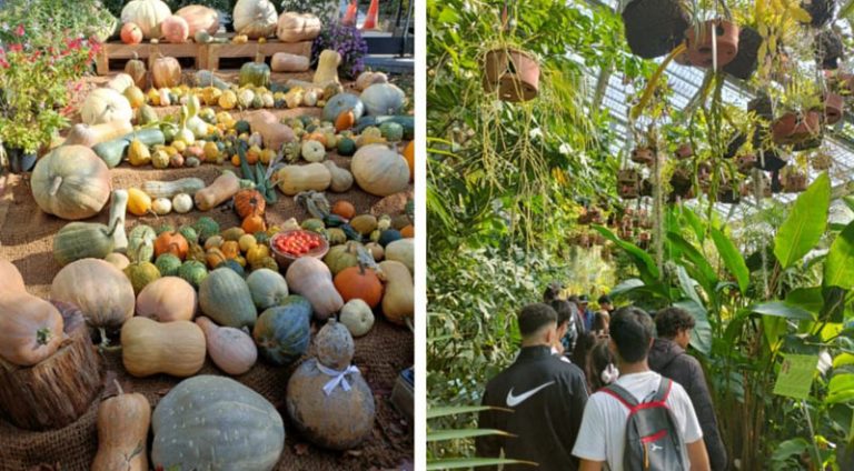 Visita guiada por el Real Jardín Botánico