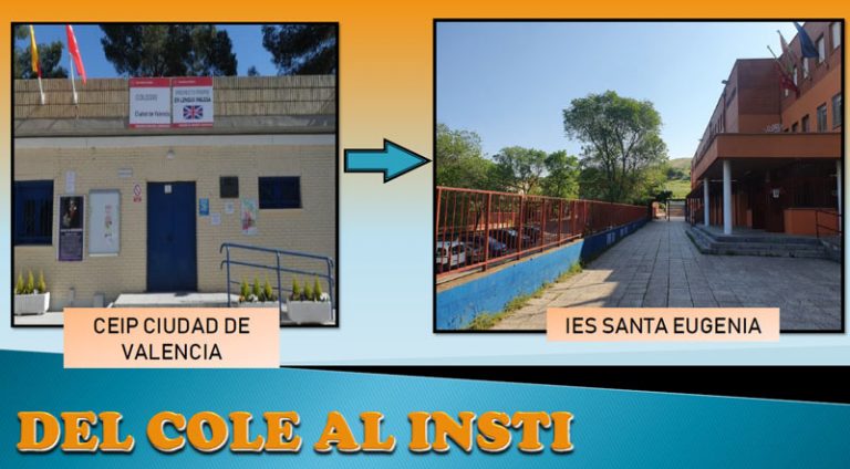 Del colegio al instituto