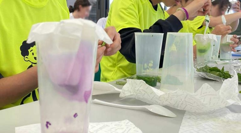 Clasificación para la gran final de «Ciencia Entretenida»