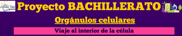 Anuncios publicitarios sobre orgánulos celulares