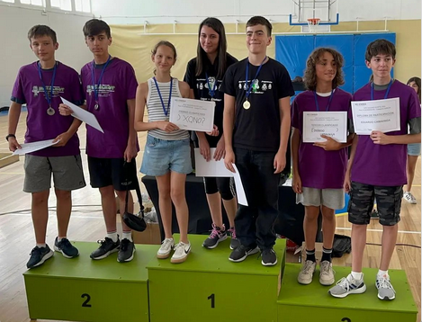World Robot Olympiad 2024