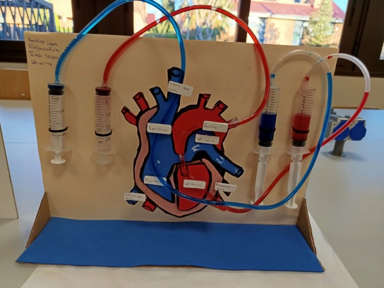 Proyectos del corazón 3º ESO