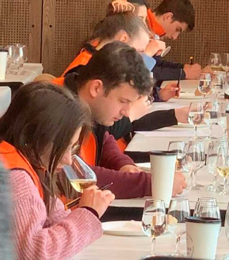 Cata de vinos