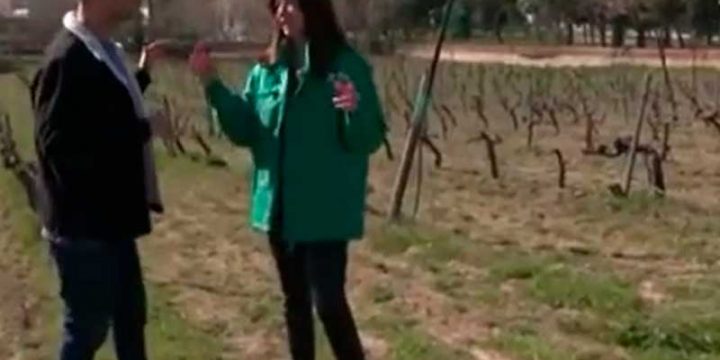 La Escuela de la Vid en Telemadrid