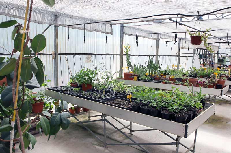 interior vivero