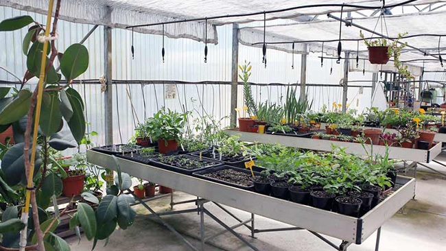 Escuela de la Vid inerior de vivero