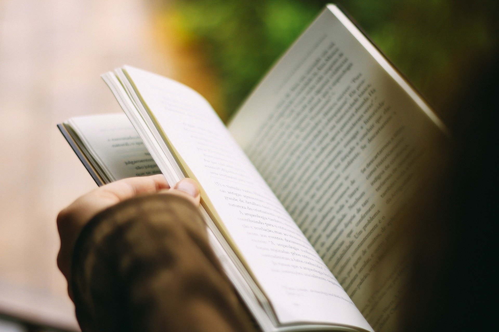 Lengua y Literatura