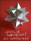 Flor de Navidad
