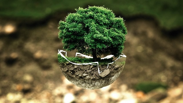 Política Ambiental