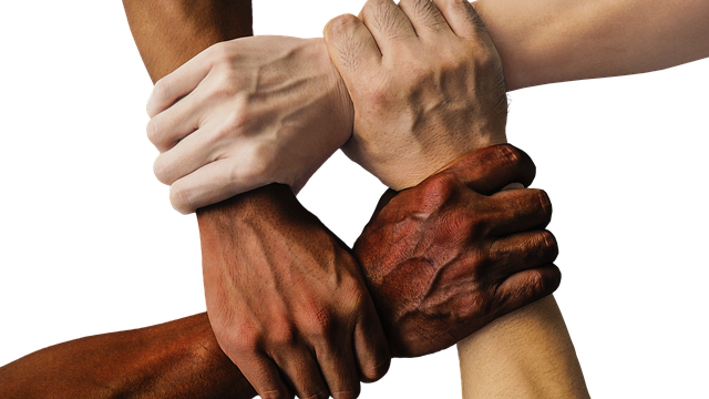 Servicios a la Comunidad